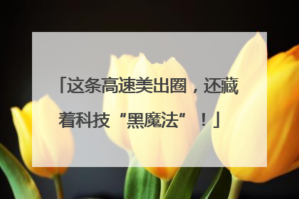 这条高速美出圈，还藏着科技“黑魔法”！