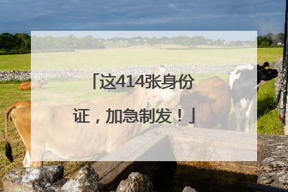 这414张身份证，加急制发！