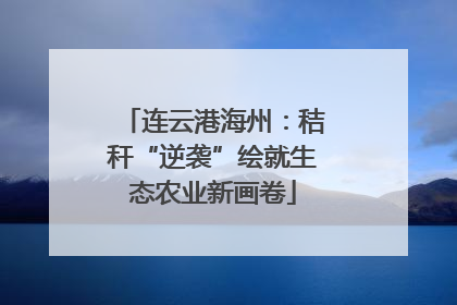 连云港海州：秸秆“逆袭”绘就生态农业新画卷