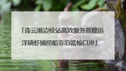 连云港边检站高效服务首艘远洋磷虾捕捞船靠泊赣榆口岸