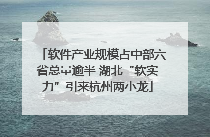 软件产业规模占中部六省总量逾半 湖北“软实力”引来杭州两小龙