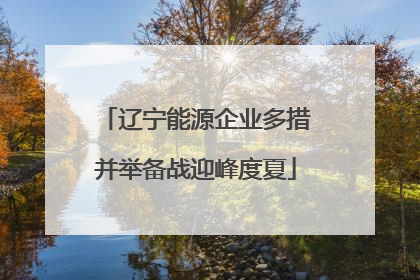 辽宁能源企业多措并举备战迎峰度夏