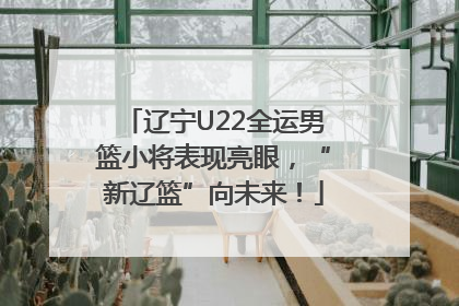 辽宁U22全运男篮小将表现亮眼，“新辽篮”向未来！