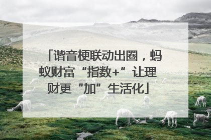 谐音梗联动出圈，蚂蚁财富“指数+”让理财更“加”生活化