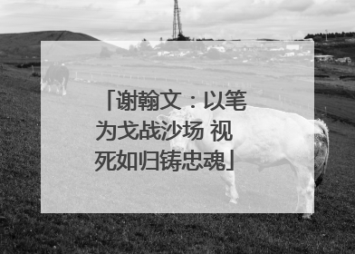 谢翰文：以笔为戈战沙场 视死如归铸忠魂
