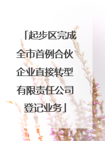 起步区完成全市首例合伙企业直接转型有限责任公司登记业务