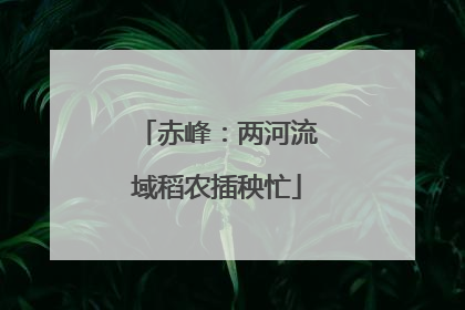 赤峰：两河流域稻农插秧忙