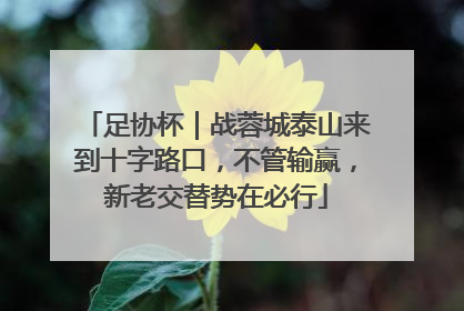 足协杯｜战蓉城泰山来到十字路口，不管输赢，新老交替势在必行