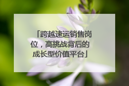 跨越速运销售岗位，高挑战背后的成长型价值平台