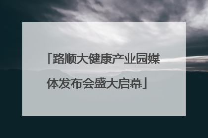 路顺大健康产业园媒体发布会盛大启幕