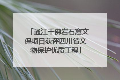 通江千佛岩石窟文保项目获评四川省文物保护优质工程