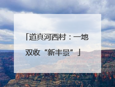 道真河西村：一地双收“新丰景”