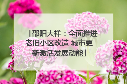 邵阳大祥：全面推进老旧小区改造 城市更新激活发展动能