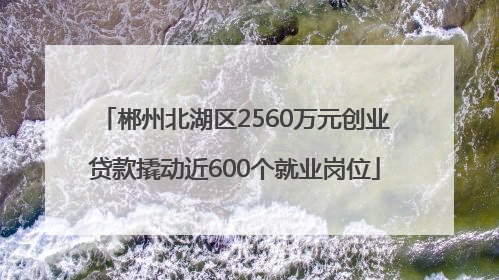 郴州北湖区2560万元创业贷款撬动近600个就业岗位