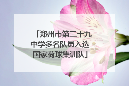 郑州市第二十九中学多名队员入选国家荷球集训队