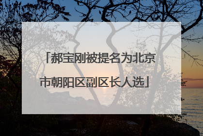郝宝刚被提名为北京市朝阳区副区长人选