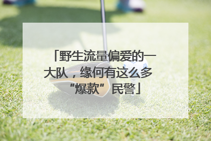 野生流量偏爱的一大队，缘何有这么多“爆款”民警
