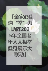 金家岭街道“拳”力助阵2025年全国老年人太极拳健身展示大联动