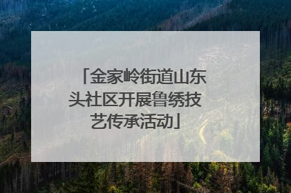 金家岭街道山东头社区开展鲁绣技艺传承活动