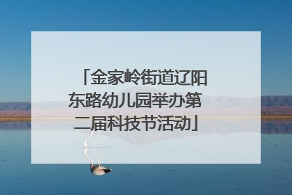 金家岭街道辽阳东路幼儿园举办第二届科技节活动