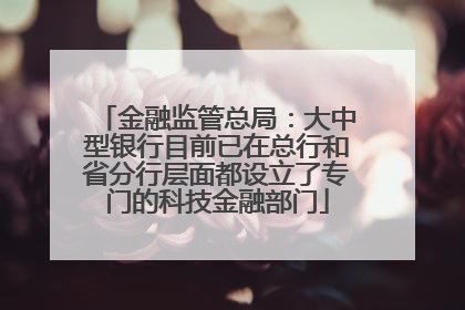 金融监管总局：大中型银行目前已在总行和省分行层面都设立了专门的科技金融部门