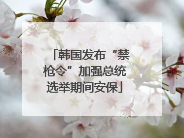 韩国发布“禁枪令”加强总统选举期间安保