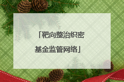 靶向整治织密基金监管网络