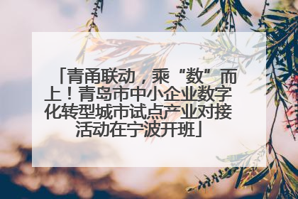 青甬联动，乘“数”而上！青岛市中小企业数字化转型城市试点产业对接活动在宁波开班