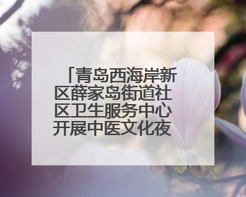 青岛西海岸新区薛家岛街道社区卫生服务中心开展中医文化夜市活动