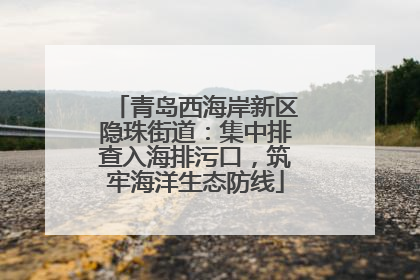 青岛西海岸新区隐珠街道：集中排查入海排污口，筑牢海洋生态防线