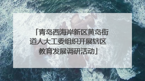 青岛西海岸新区黄岛街道人大工委组织开展辖区教育发展调研活动