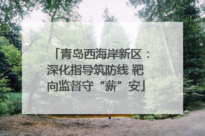 青岛西海岸新区：深化指导筑防线 靶向监督守“薪”安