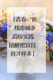 青春“医”线牵城乡 高校实践团解密宜昌育才样本