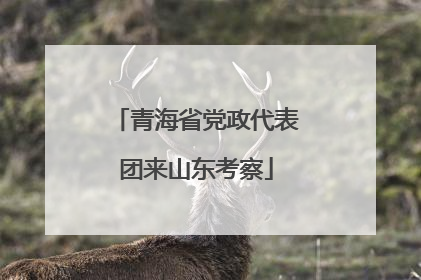 青海省党政代表团来山东考察