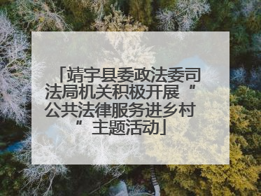 靖宇县委政法委司法局机关积极开展“公共法律服务进乡村”主题活动