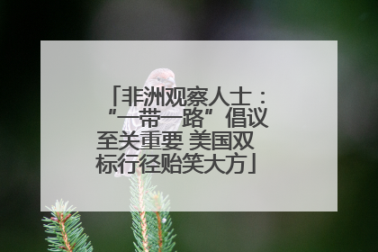 非洲观察人士：“一带一路”倡议至关重要 美国双标行径贻笑大方