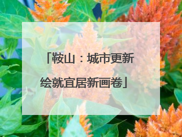 鞍山：城市更新绘就宜居新画卷