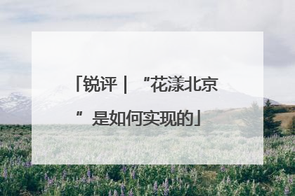 锐评｜“花漾北京”是如何实现的