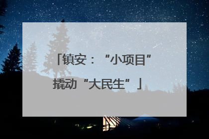 镇安：“小项目”撬动“大民生”