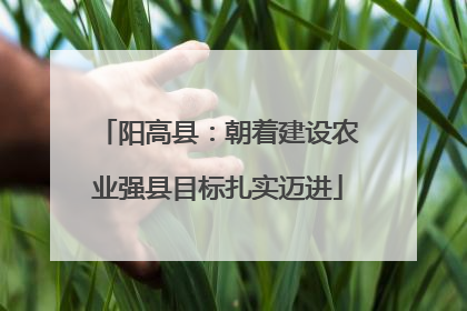 阳高县：朝着建设农业强县目标扎实迈进