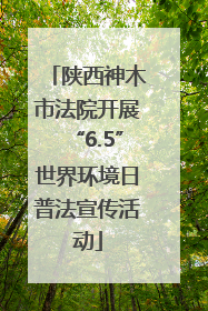 陕西神木市法院开展“6.5”世界环境日普法宣传活动