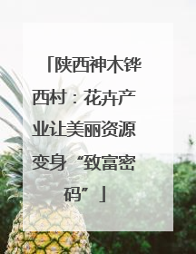 陕西神木铧西村：花卉产业让美丽资源变身“致富密码”