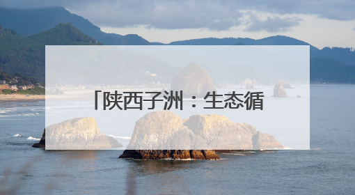 陕西子洲：生态循环赋能全产业链 小理河合作社走出联农带农新路径