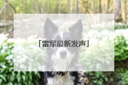 雷军最新发声