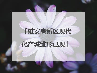 雄安高新区现代化产城雏形已现