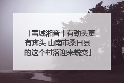 雪域湘音｜有劲头更有奔头 山南市桑日县的这个村落迎来蜕变