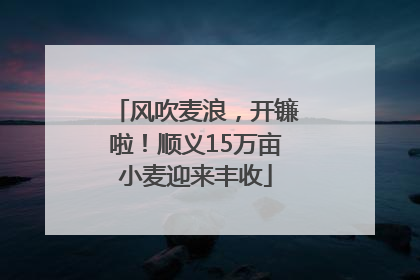 风吹麦浪，开镰啦！顺义15万亩小麦迎来丰收