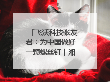 飞沃科技张友君：为中国做好一颗螺丝钉｜湘商，向上⑦