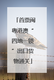 首票闽粤港澳“四地一锁”出口货物通关