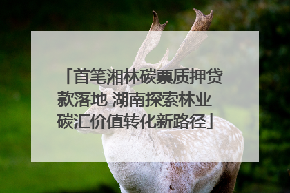 首笔湘林碳票质押贷款落地 湖南探索林业碳汇价值转化新路径
